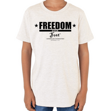 Load image into Gallery viewer, Freedom Over Fear - Triblend Tee
